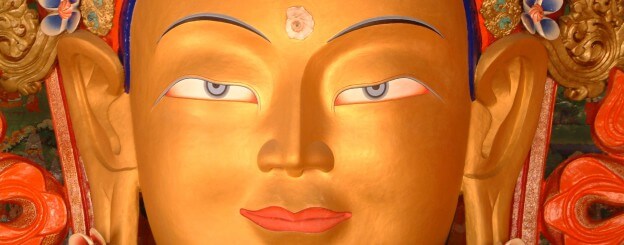 el tercer ojo existe y aura también