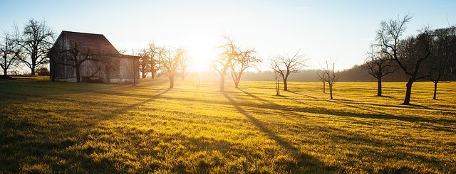 Oración matutina